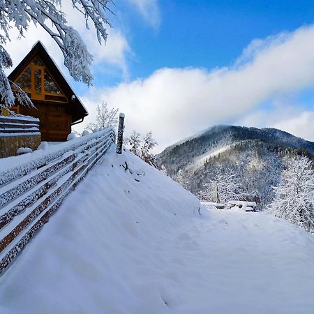 Drvene Kuce Suska - Wooden Houses Suska Zaovine Экстерьер фото