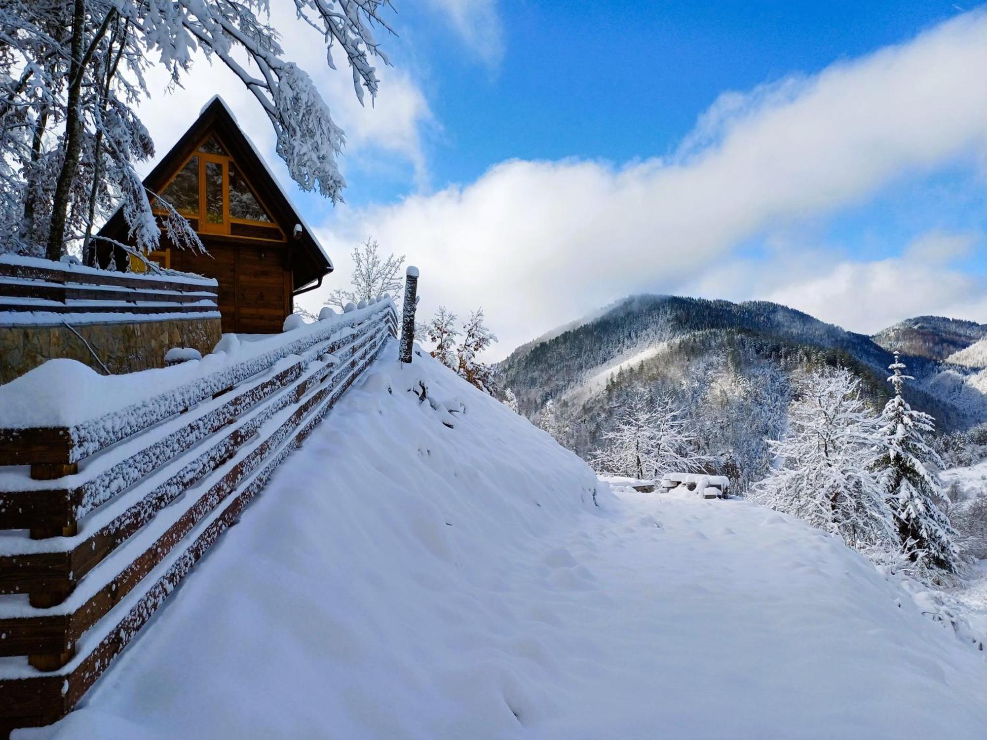 Drvene Kuce Suska - Wooden Houses Suska Zaovine Экстерьер фото